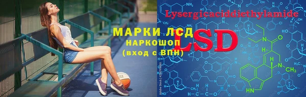 индика Алексеевка