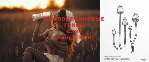 ешки Алзамай