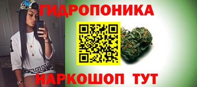 первитин Гусев