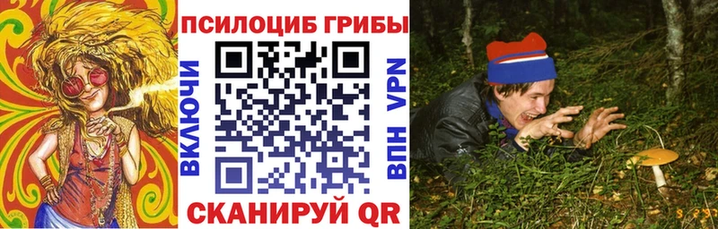 Псилоцибиновые грибы Cubensis  где можно купить   Майкоп 