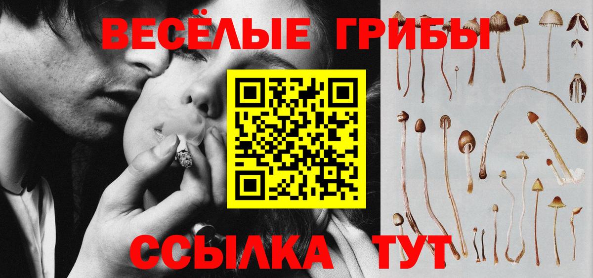 Галлюциногенные грибы MAGIC MUSHROOMS Майкоп