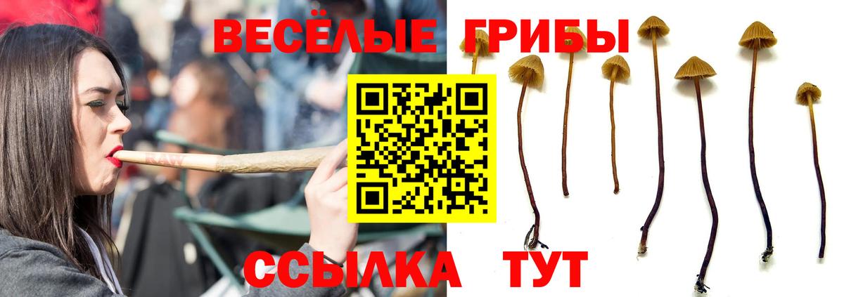 Марихуана  Меф МЯУ МЯУ  МДМА  Экстази  Вход с VPN  COCAIN  Меф МЯУ МЯУ кристаллы  Гашиш  Майкоп  Канабис  ГАШИШ  Вейп ТГК 