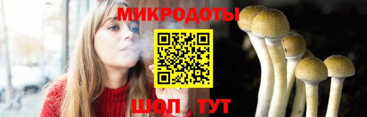 Псилоцибиновые грибы прущие грибы  Вход с VPN  Майкоп 